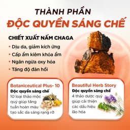 Thumbnail Toner Nấm Không Cồn Cấp ẩm Dịu Da Tức Thì - G.G.G Calming Mushroom Toner 200ml 3