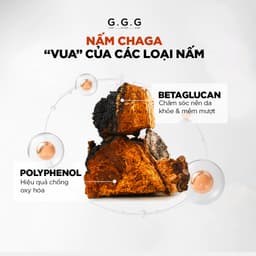 Thumbnail Booster Nấm Chaga Phục Hồi, Dịu Da Và Cấp Ẩm Chuyên Sâu - G.G.G Uniq Booster Chagga 100 Ampoule 50ml 2