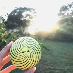 Thumbnail Bóng Ném Người Lớn Waboba Spizzy Ball In Bulk For Dump Bin - Vàng  - 324D99_Y 2