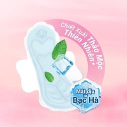 Thumbnail Combo 8 gói Băng vệ sinh Molped thiên nhiên Mát lạnh có cánh (GÓI 8 MIẾNG) 2