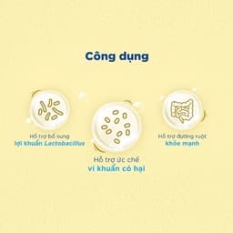 Thumbnail Thực Phẩm bổ sung lợi khuẩn hỗ trợ đường ruột ANTIBIO PRO, Cân Bằng Hệ Vi Sinh Hộp 20 Gói x 1g 3