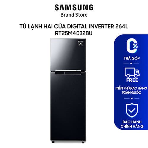 Ảnh Tủ Lạnh Samsung Ngăn Đông Trên với Digital Inverter 264L màu Đen RT25M4032BU/SV 1