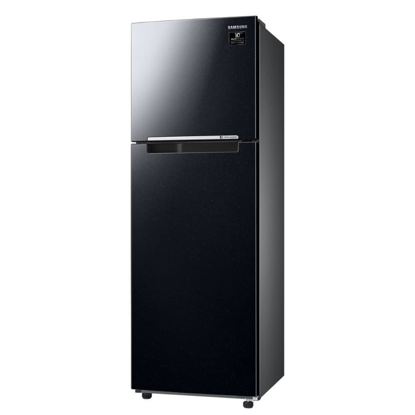 Ảnh Tủ Lạnh Samsung Ngăn Đông Trên với Digital Inverter 264L màu Đen RT25M4032BU/SV 3