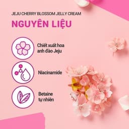 Thumbnail Gel dưỡng ẩm sáng da từ hoa anh đào đảo Jeju innisfree Cherry Blossom Jelly Cream 50ml 4