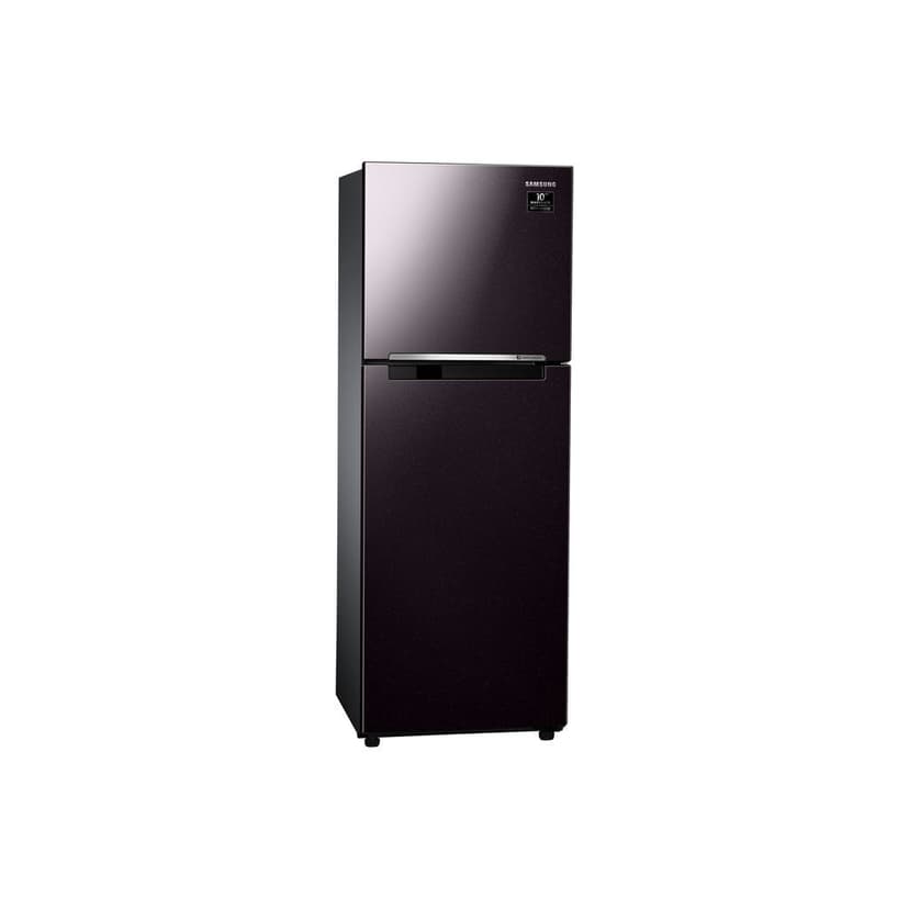 Ảnh Tủ Lạnh Samsung Ngăn Đông Trên với Digital Inverter 243L màu Nâu Starry RT22M4032BY/SV 4
