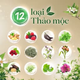 Thumbnail Phiên bản mới - Combo 2 chai Dầu gội Fresh Thảo Mộc Dưỡng Sinh - Sạch gàu + Chắc khỏe 480g/chai 2