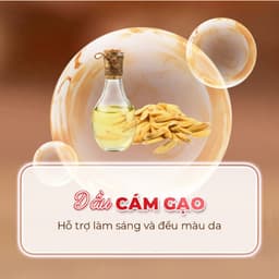 Thumbnail Tẩy Tế Bào Chết Dành Cho Da Mặt Sắc Ngọc Khang 2