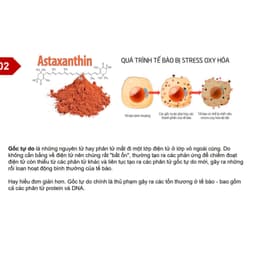 Thumbnail Viên uống đẹp da Sắc Ngọc Khang++ [Hộp 60v] giúp chống lão hóa, giảm nám sạm & cân bằng nội tiết tố nữ 3