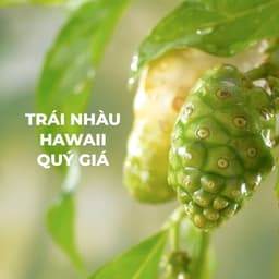 Thumbnail Sữa tắm NATUFRÈS Hawaiian Breeze Muối Biển và Trái Nhàu - Giúp giảm mụn, ngăn ngừa mụn cơ thể 250ml,450ml 2
