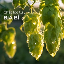 Thumbnail Sữa tắm NATUFRÈS Belgian Favorite Chiết Xuất Từ Bia Bỉ - Sáng da, cấp ẩm, trẻ trung rạng rỡ 250ml,450ml 2