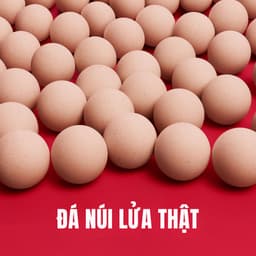 Thumbnail Thanh Lăn Hấp Thụ Và Kiểm Soát Dầu Từ Đá Núi Lửa Thật Revlon Absorbing Roller 3
