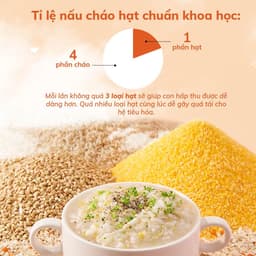 Thumbnail Đậu hạt hữu cơ cho bé ăn dặm Mămmy: Đậu lăng đỏ, đậu gà, kiều mạch, diêm mạch, hạt chia, kê nếp cho bé từ 6 tháng tuổi 4