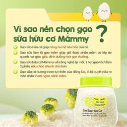 Thumbnail Combo 3 hũ gạo sữa hữu cơ Mămmy nấu cháo cho bé ăn dặm, hũ 140gr 4