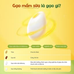 Thumbnail Combo 3 hũ gạo sữa hữu cơ Mămmy nấu cháo cho bé ăn dặm, hũ 140gr 3