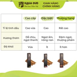 Thumbnail Trầm thanh Haga Cao cấp/Đặc biệt/Thượng hạng thơm ngọt trầm hương, thư giãn thoải mái - 16cm 44 cây 4