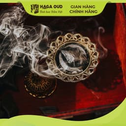 Thumbnail Than hoạt tính HAGA, Xông đốt trầm hương, Ít mùi-Ít khói, Mồi lửa nhanh, An toàn sức khỏe-5 viên/gói 4