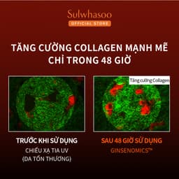 Thumbnail Kem Dưỡng Nhân Sâm Cô Đặc Dưỡng Da Săn Chắc Concentrated Ginseng Rejuvenating Cream 30ml 4
