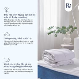 Thumbnail Chăn Mền Bạch Đàn Ru9 100% Từ Thiên Nhiên, An Toàn, Thoáng Mát - Eucalytus Duvet - 3 Kích Thước 3