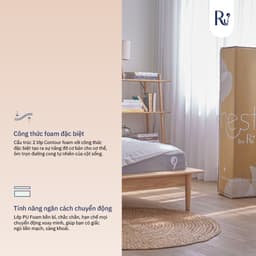 Thumbnail Nệm Foam Cao Cấp Nest Ru9 15cm | Màu Xám | 2 Lớp Foam Nâng Đỡ | Bao Gồm 6 Kích Thước 2