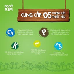 Thumbnail THÙNG 12 Hộp Nước dừa đóng hộp Cocoxim Xanh dung tích 330ml/Hộp 3
