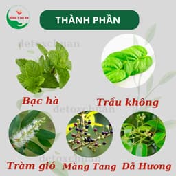 Thumbnail Tinh Dầu Lợi An Bôi Ho, Sổ Mũi, Khò Khè Cho Bé, Date Mới 3