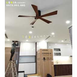 Thumbnail Quạt Trần Cánh Gỗ Phong Cách Indochine LÊ GIA LGFAN738G - Chiều Cao 22cm - Sải Cánh 132cm - Bảo Hành 5 Năm 3