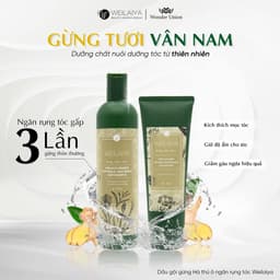 Thumbnail Combo 2 Cặp Dầu Gội Weilaiya Chính Hãng Tinh Chất Gừng Ngăn Rụng & Mọc Tóc - Gội 400ml - Xả 250ml tặng set gội-xả 20ml 4