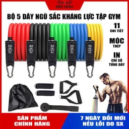 Thumbnail Bộ 5 Dây Kéo Ngũ Sắc Tập Gym Tổng 150LB Cỡ Lớn (Hàng Loại 1) Chính Hãng Đại Nam Sport 1