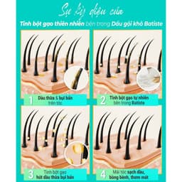 Thumbnail Combo 2 Chai Dầu Gội Khô Batiste Hương Hoa Hồng Giúp Tóc Lưu Hương, Loại Bỏ Dầu Thừa Baitste Rose Gold 200ml 4