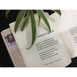 Thumbnail Sách - Khúc Thụy Du - Du Tử Lê 2