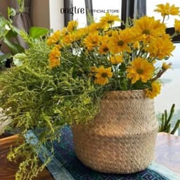 Thumbnail Giỏ cói trồng cây ONGTRE có quai dùng đựng quần áo, decor , đựng đồ 4