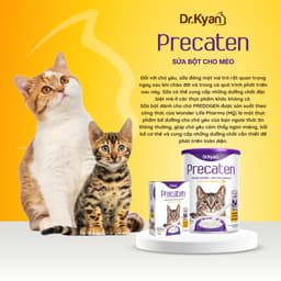 Thumbnail Dr.Kyan - Sữa bột PRECATEN cho mèo lon 400g - DrKyan 2