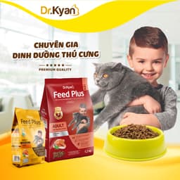 Thumbnail Dr.Kyan - Thức ăn hạt cho mèo lớn Feed Plus - Adutl 400g - Vị cá hồi - DrKyan 1
