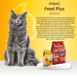 Thumbnail Dr.Kyan - Thức ăn hạt cho mèo lớn Feed Plus - Adutl 400g - Vị cá hồi - DrKyan 2