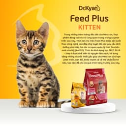 Thumbnail Dr.Kyan - Thức ăn hạt cho mèo nhỏ Feed Plus - Kitten 400g - Vị cá hồi - DrKyan 2