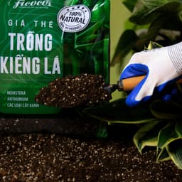 Thumbnail Đất trồng kiểng lá, giá thể trồng các cây kiểng lá, cây trong nhà Monstera, Anthurium, Bàng Singapore, túi 7 lít 1