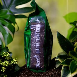 Thumbnail Đất trồng kiểng lá, giá thể trồng các cây kiểng lá, cây trong nhà Monstera, Anthurium, Bàng Singapore, túi 7 lít 2