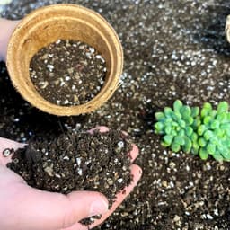 Thumbnail Đất trồng sen đá xương rồng cao cấp, đầy đủ dinh dưỡng, siêu thoát nước, túi 2 lít. 2