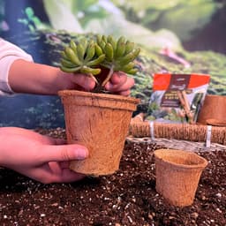 Thumbnail Đất trồng sen đá xương rồng cao cấp, đầy đủ dinh dưỡng, siêu thoát nước, túi 2 lít. 3