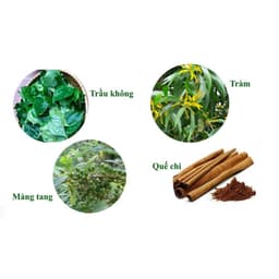 Thumbnail Tinh Dầu Lợi An, Tinh Dầu Lợi An Chính Hãng, Tinh Dầu Bôi Ho - Sổ Mũi, Tăng Đề Kháng Cho bé - Dầu Tràm 2