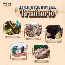 Thumbnail Bột Cacao Nguyên Chất 100% dòng Natural - Thuần tự nhiên, Không đường, Không Kiềm Hóa - Túi 50g 2