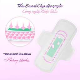 Thumbnail Băng vệ sinh thảo dược Doctor Care Combo chăm sóc toàn diện Ngày Đêm Hàng ngày 4