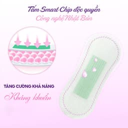 Thumbnail Băng vệ sinh thảo dược D&C Doctor Care hàng ngày 16 cm Combo 6 gói 2
