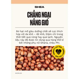 Thumbnail Dầu Xả Bơ Hạt Mỡ SHEA BUTTER RICHLY REPLENISHING CONDITIONER The Body Shop 2