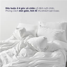 Thumbnail Vỏ chăn trắng trơn Changmi Bedding Cotton 100% cao cấp chuẩn khách sạn 5 sao 4