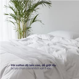 Thumbnail Vỏ chăn trắng trơn Changmi Bedding Cotton 100% cao cấp chuẩn khách sạn 5 sao 3