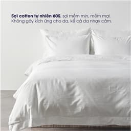 Thumbnail Vỏ chăn trắng trơn Changmi Bedding Cotton 100% cao cấp chuẩn khách sạn 5 sao 2