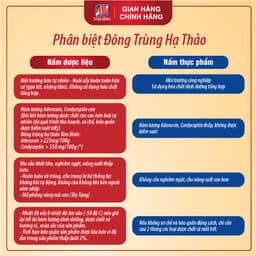 Thumbnail Đông Trùng Hạ Thảo Tâm Bình, Món Quà Thượng Hạng Cho Sức Khỏe, Công Nghệ Sấy Thăng Hoa Đạt Chuẩn, Hộp 10g 1
