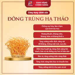 Thumbnail Đông Trùng Hạ Thảo Tâm Bình, Món Quà Thượng Hạng Cho Sức Khỏe, Công Nghệ Sấy Thăng Hoa Đạt Chuẩn, Hộp 10g 2