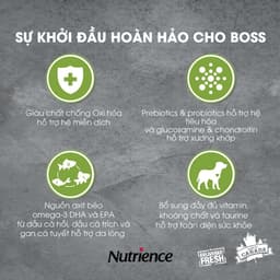 Thumbnail Thức ăn cho chó con Nutrience Infusion Healthy Puppy - thịt gà, dầu cá hồi và rau củ trái cây 2.27kg 2